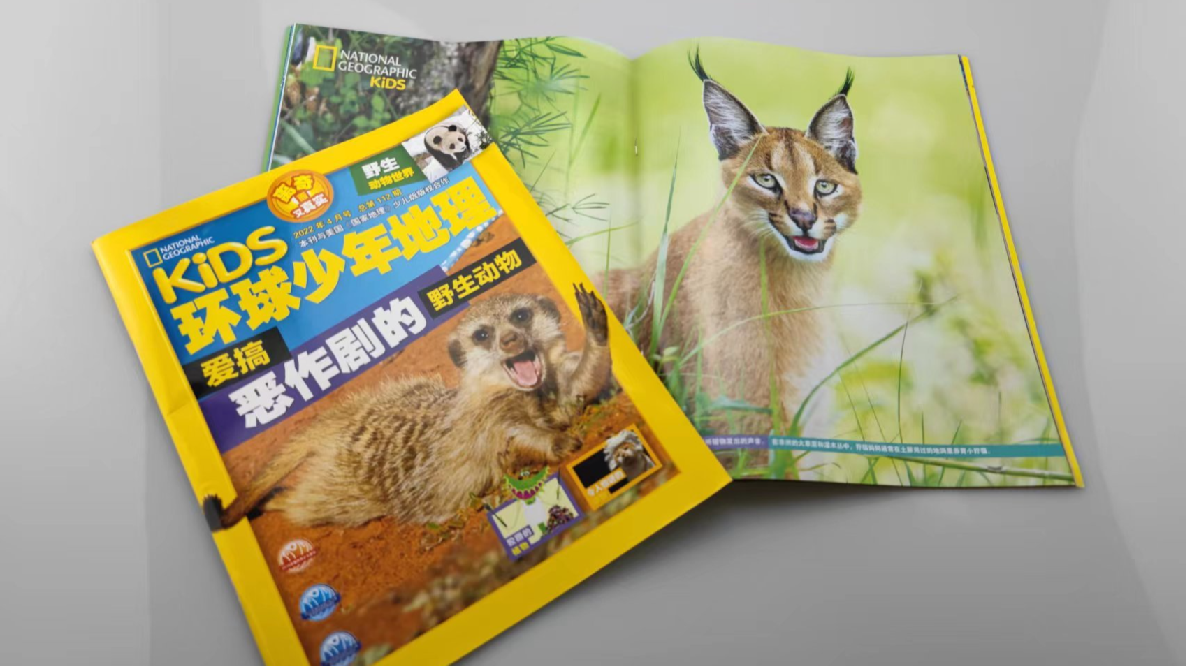 《环球少年地理》培养提高孩子的综合素养