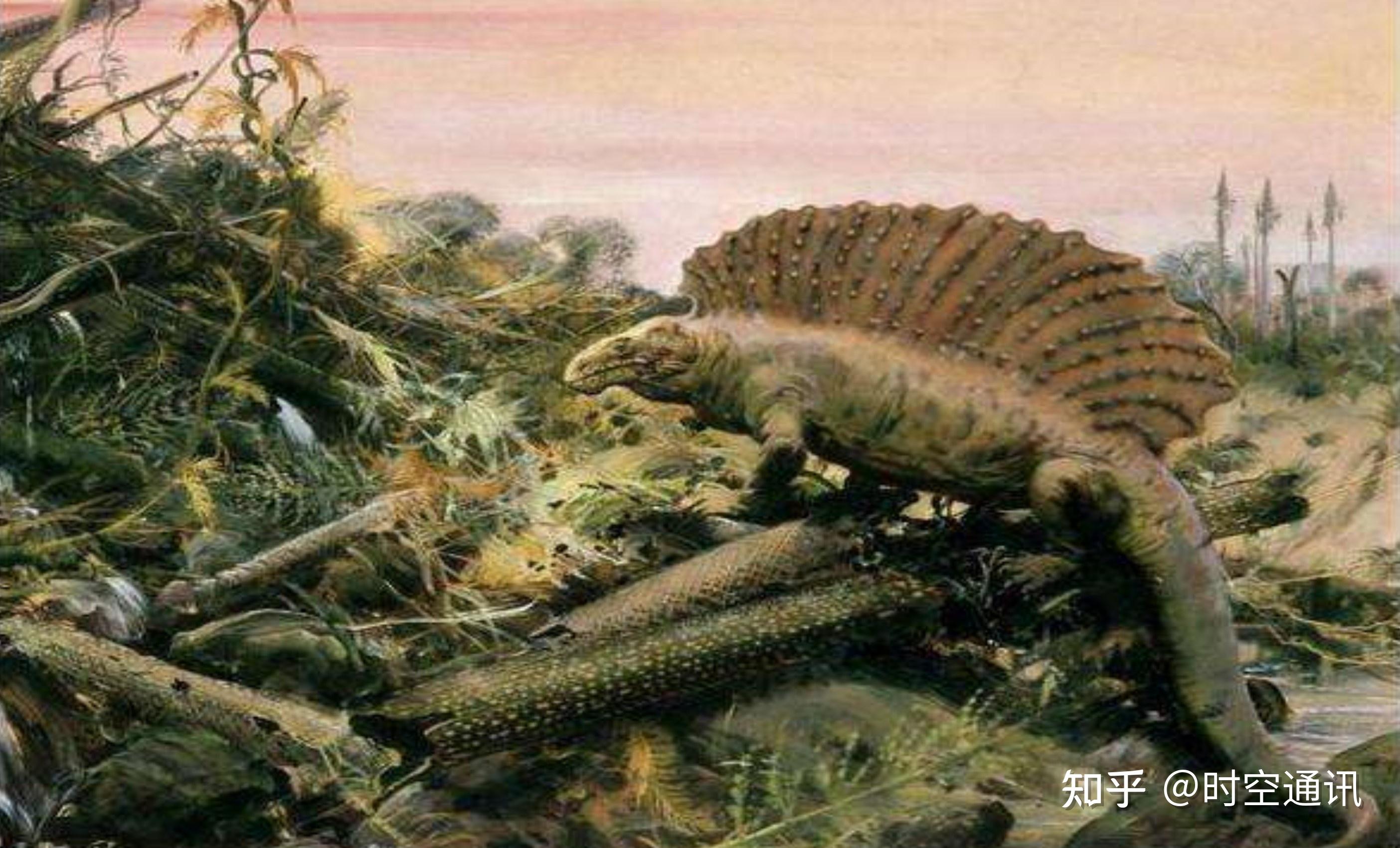 4亿年前的寒武纪出现生命大爆发以来,迄今已经有过5次生物大灭绝事件