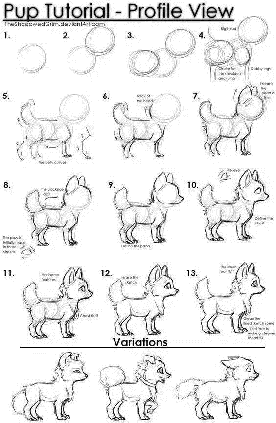 零基础如何画动物，以20+狗狗的画法为例- 知乎