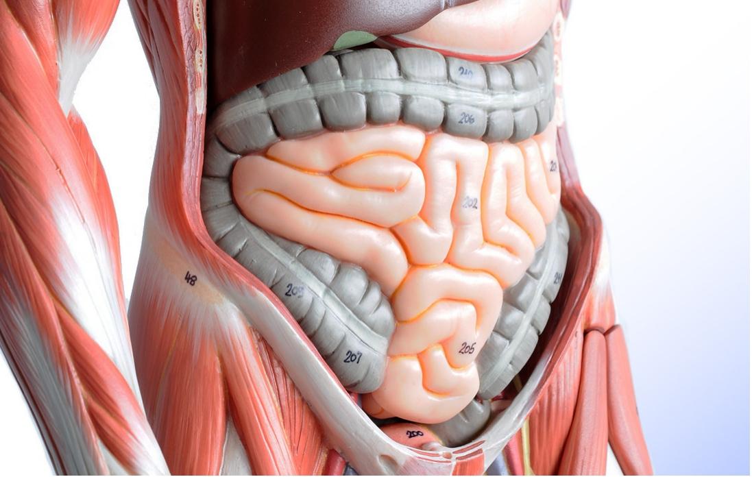 v2-1a3ddaa6965a4b2ba1b98c9fa466c83c_1440w.jpg?source=172ae18b