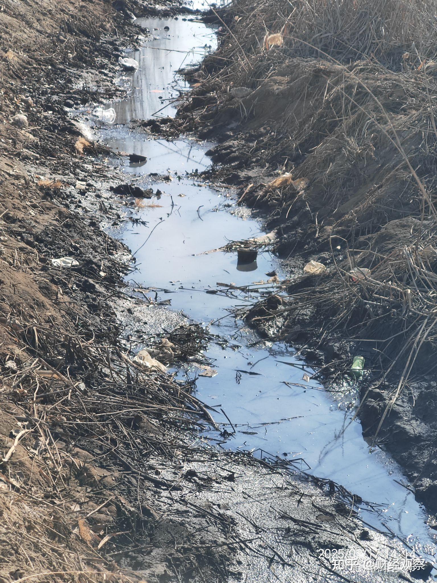 沧州泊头经济开发区惊现黑臭水体,举报无果