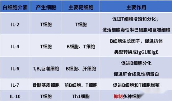 1,白细胞介素(il):不仅由白细胞产生分类细胞因子(ck):多种细胞受免疫