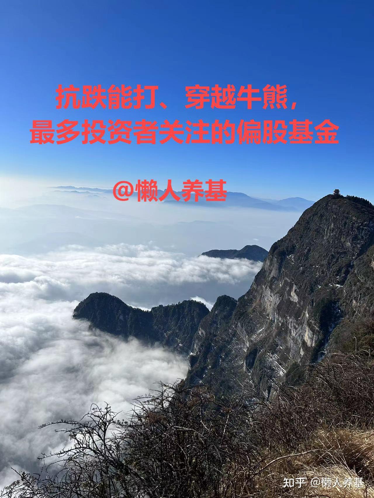 抗跌能打、穿越牛熊，最多投资者关注的偏股基金- 知乎