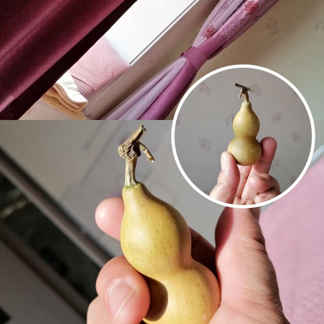 潘菲