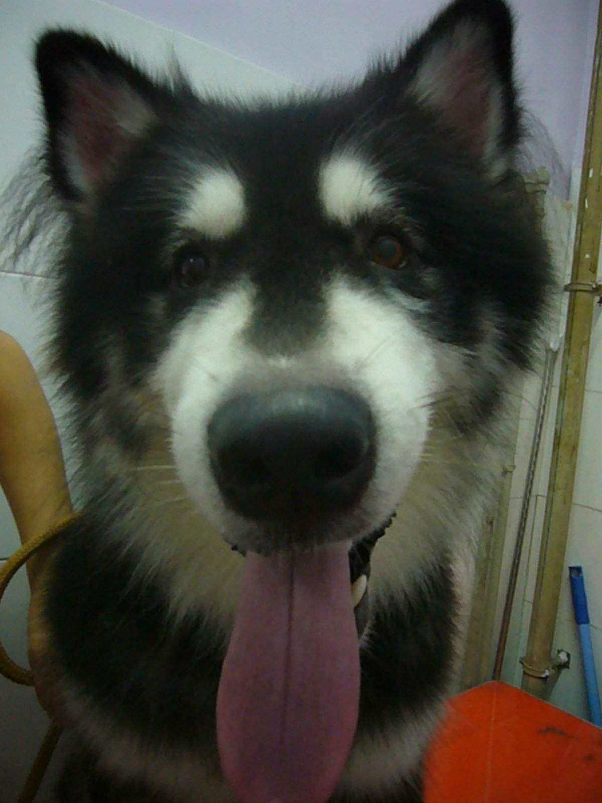 真正喜欢工科专业的人是什么样的? - 知乎