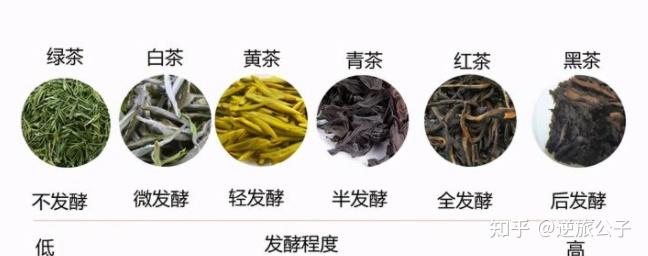 茶葉的分類傻傻分不清楚一篇文章讓你六大茶類不再迷糊