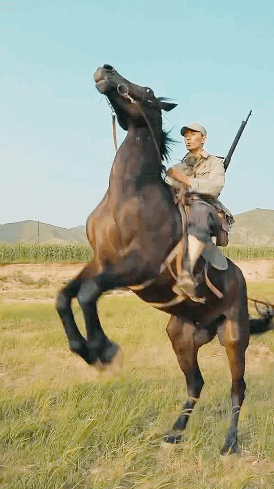 里的萧炎,到《长歌行》里的阿诗勒隼,再到《我和我的父辈》里的马乘风