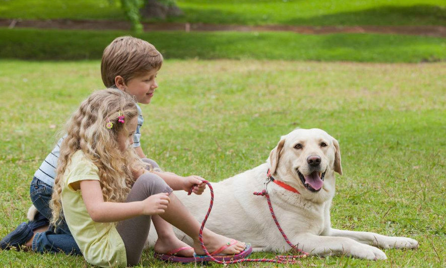 如何给狗狗做狗粮 v2-1a855000f63ca9d660ea58256030bd01_1440w.jpg?source=172ae18b