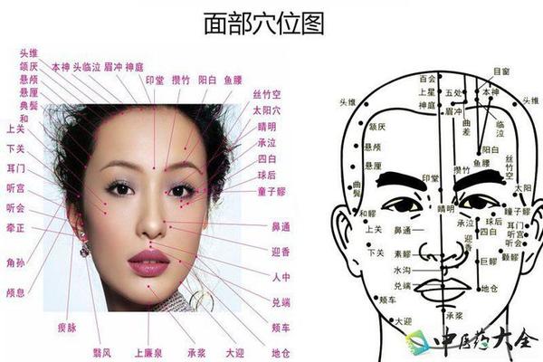 我们的脸上到底都有些什么穴位 - 知乎