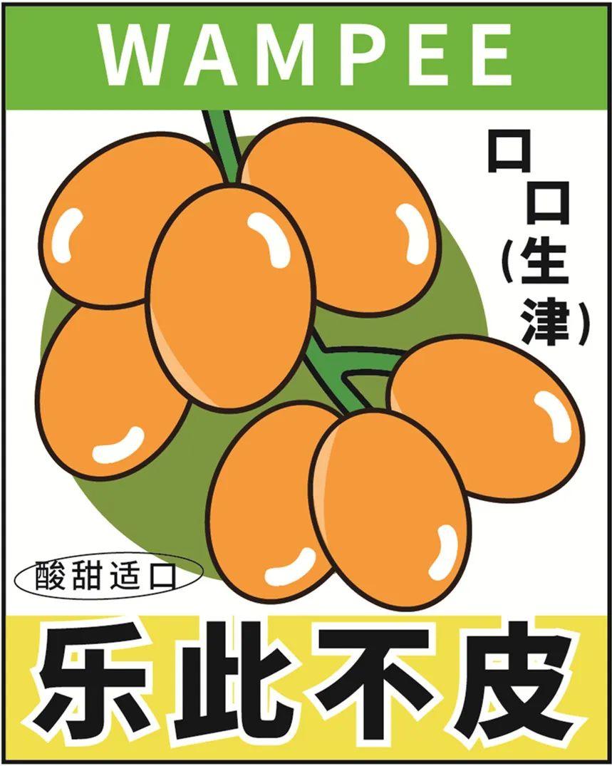 用活的黄皮做茶饮会是怎样的味道