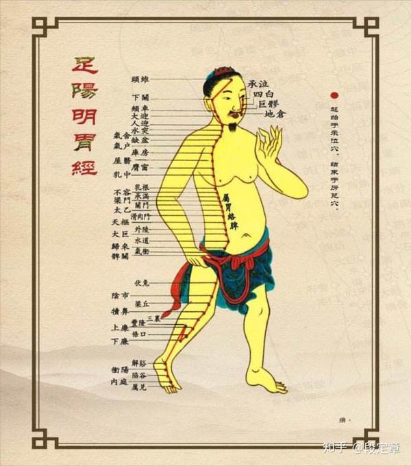行了，因为脾主肉。这时候揉腹，提升脾胃的运化能力才是最好的治疗了。