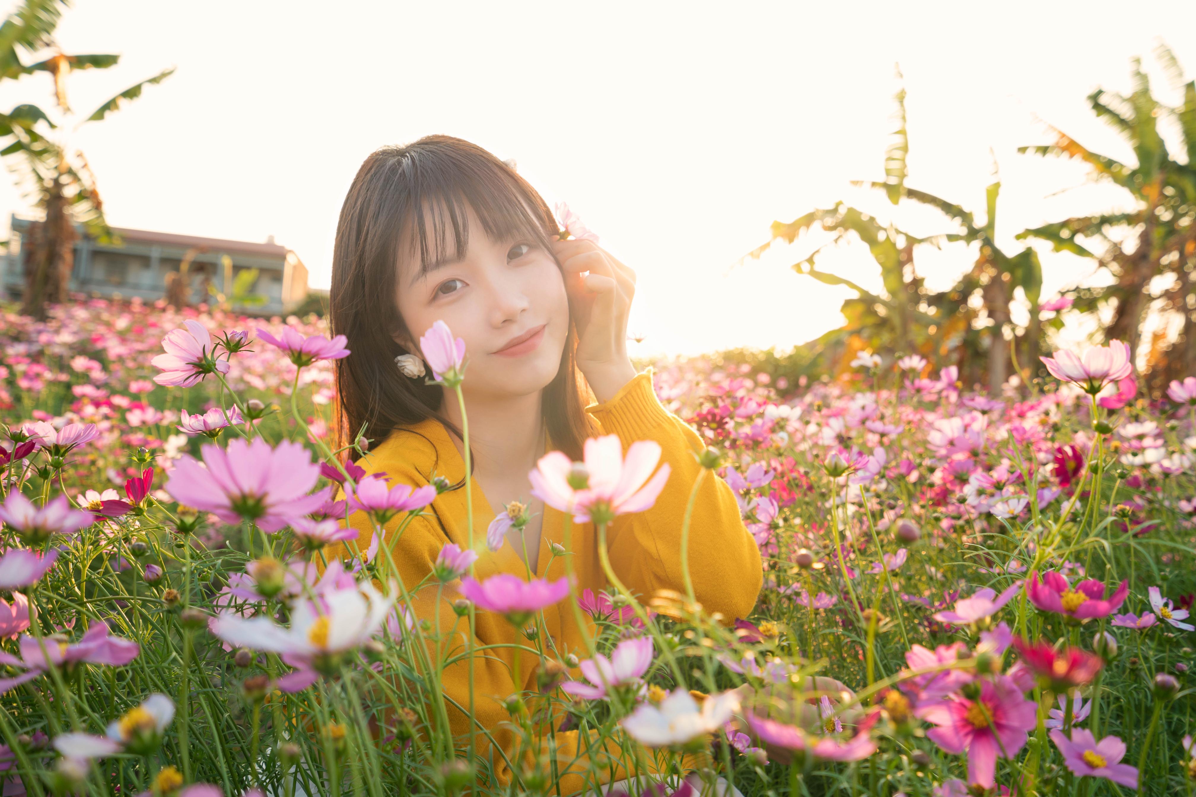 格桑花海 东莞春游赏花好去处 知乎