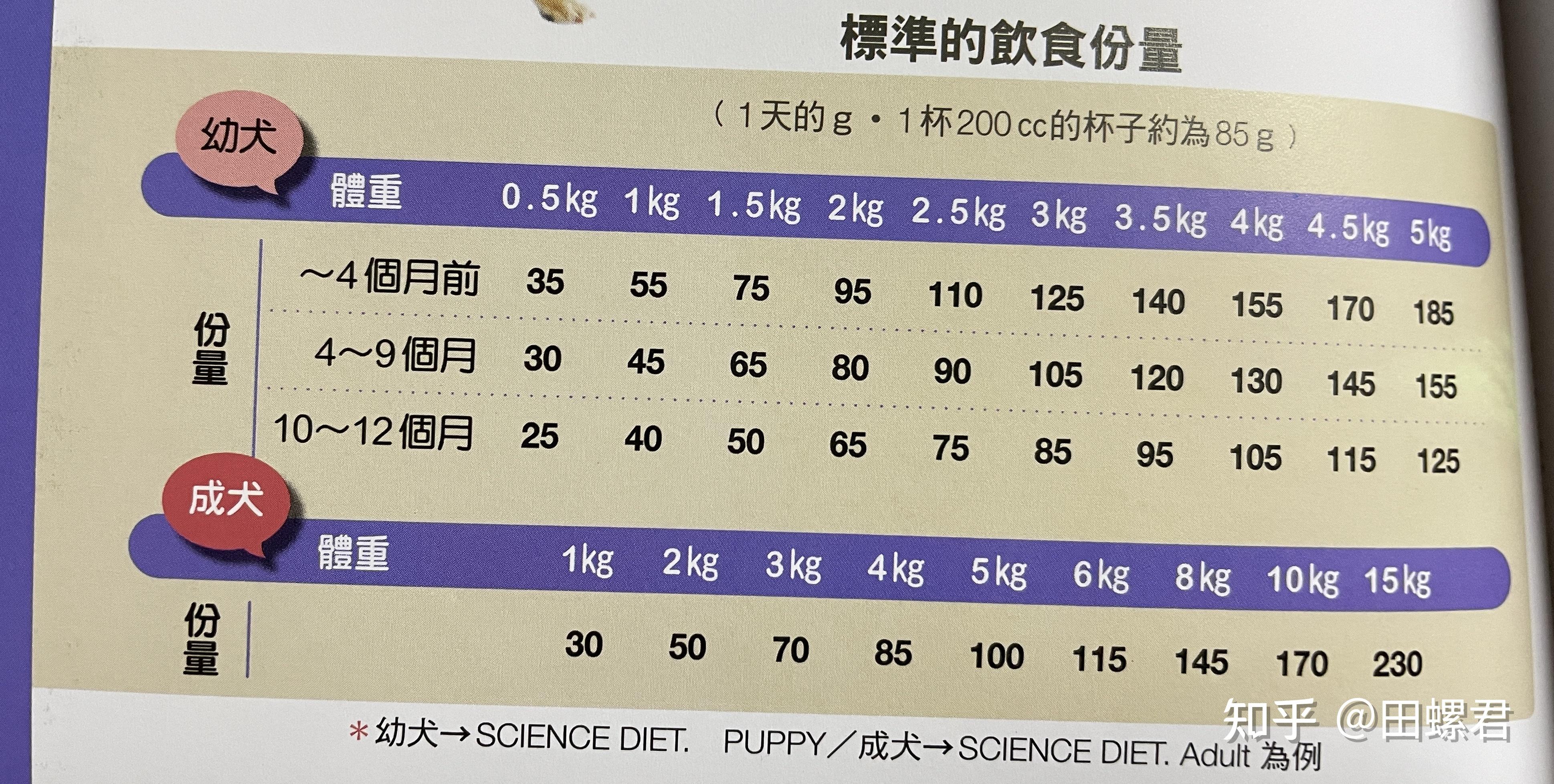 柴犬体重图片