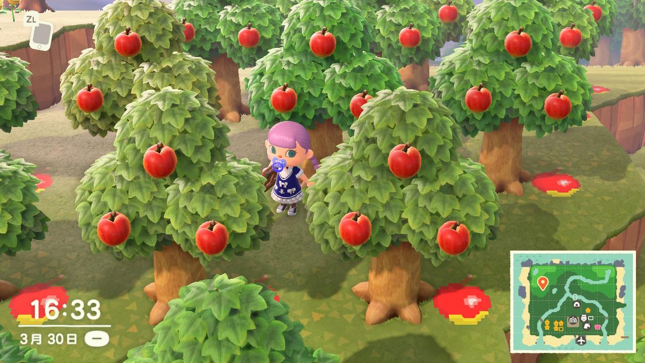 集合啦动物森友会树木种植技术攻略心得