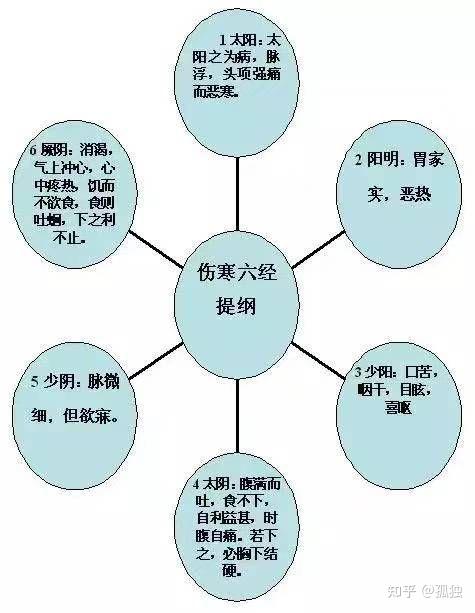 《伤寒论》方子的分类,虽然我不会开药,但我想一定有很多网友自学中医需要这个分门别类的总结 - 知乎