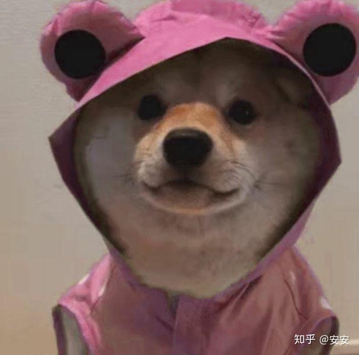 有没有带帽子狗的头像衣服是各种颜色都有