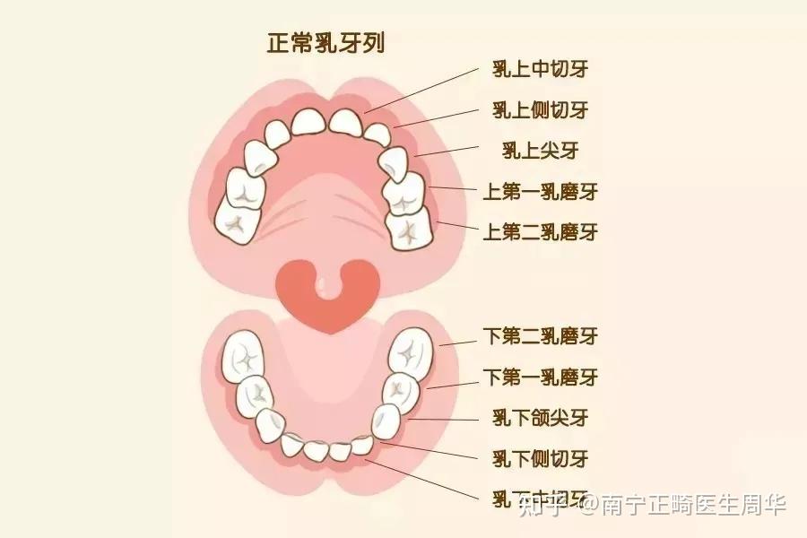 家长做什么可以让孩子换牙后牙齿长整齐