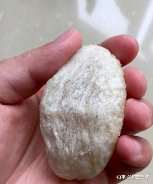 什么是燕窝？这篇文章希望大家更加了解燕窝！ - 知乎