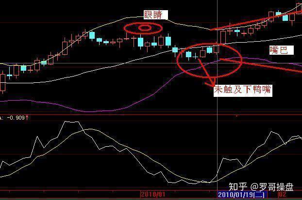 股市成功的一人: