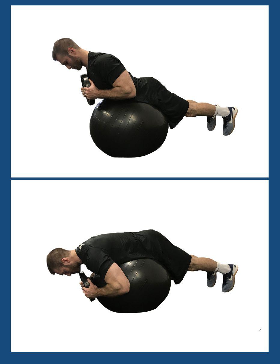 nasm专栏渐进式的核心训练nasmopt模型