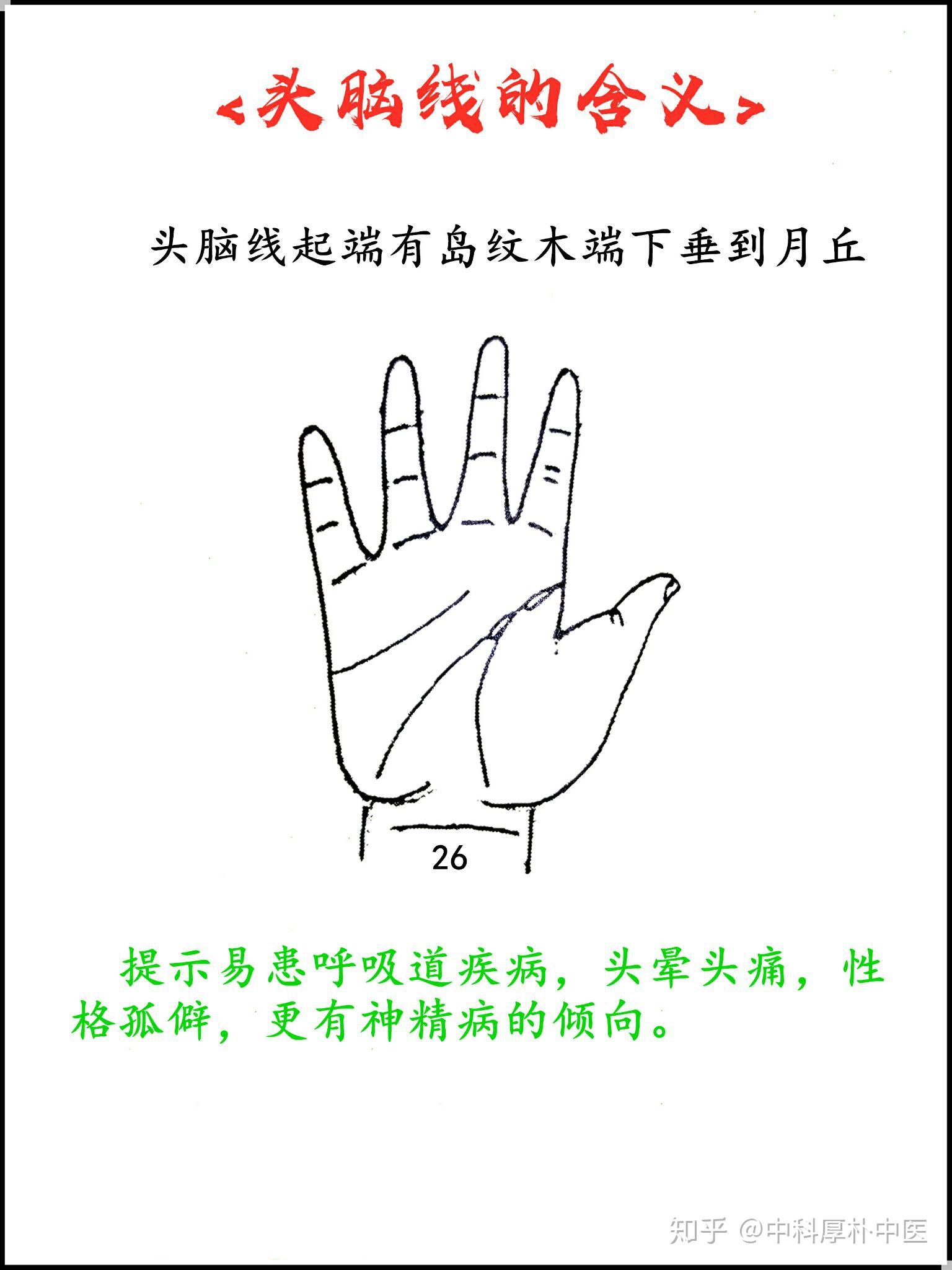 手诊图头脑线连载十五