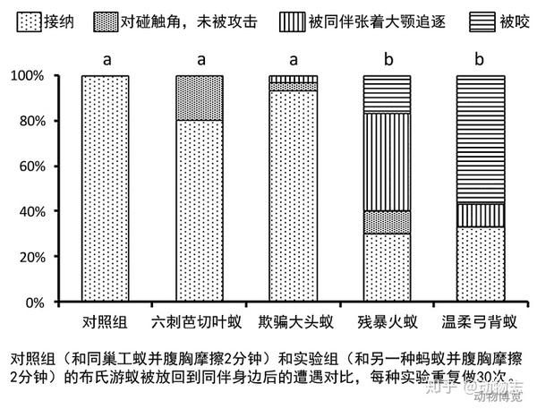 行军蚁能用来消灭入侵蚁种吗 入侵蚁种没消灭 行军蚁先内讧了 知乎