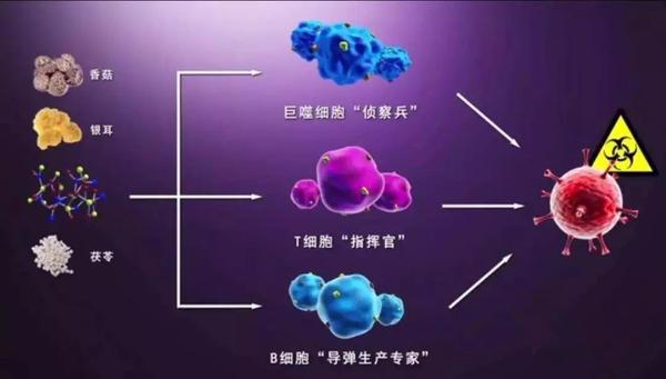 防疫狙击战|四种免疫活性多糖共同战“疫”,菌钥自研复合菌菇饮 - 知乎
