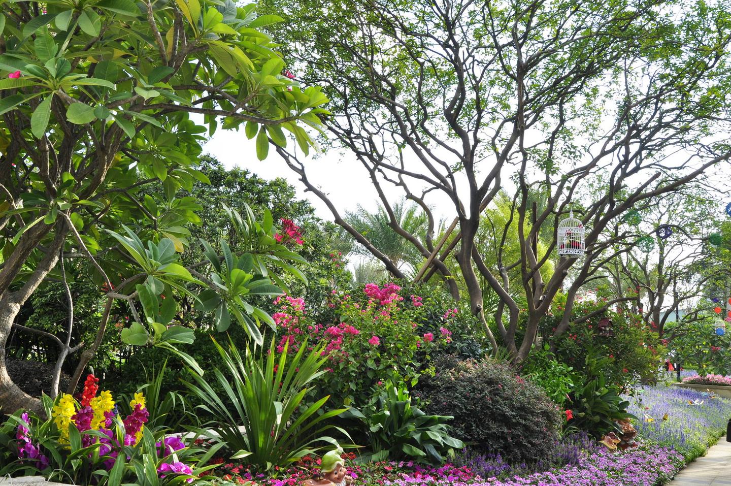 植物设计系列 一 北方常用植物品种 知乎