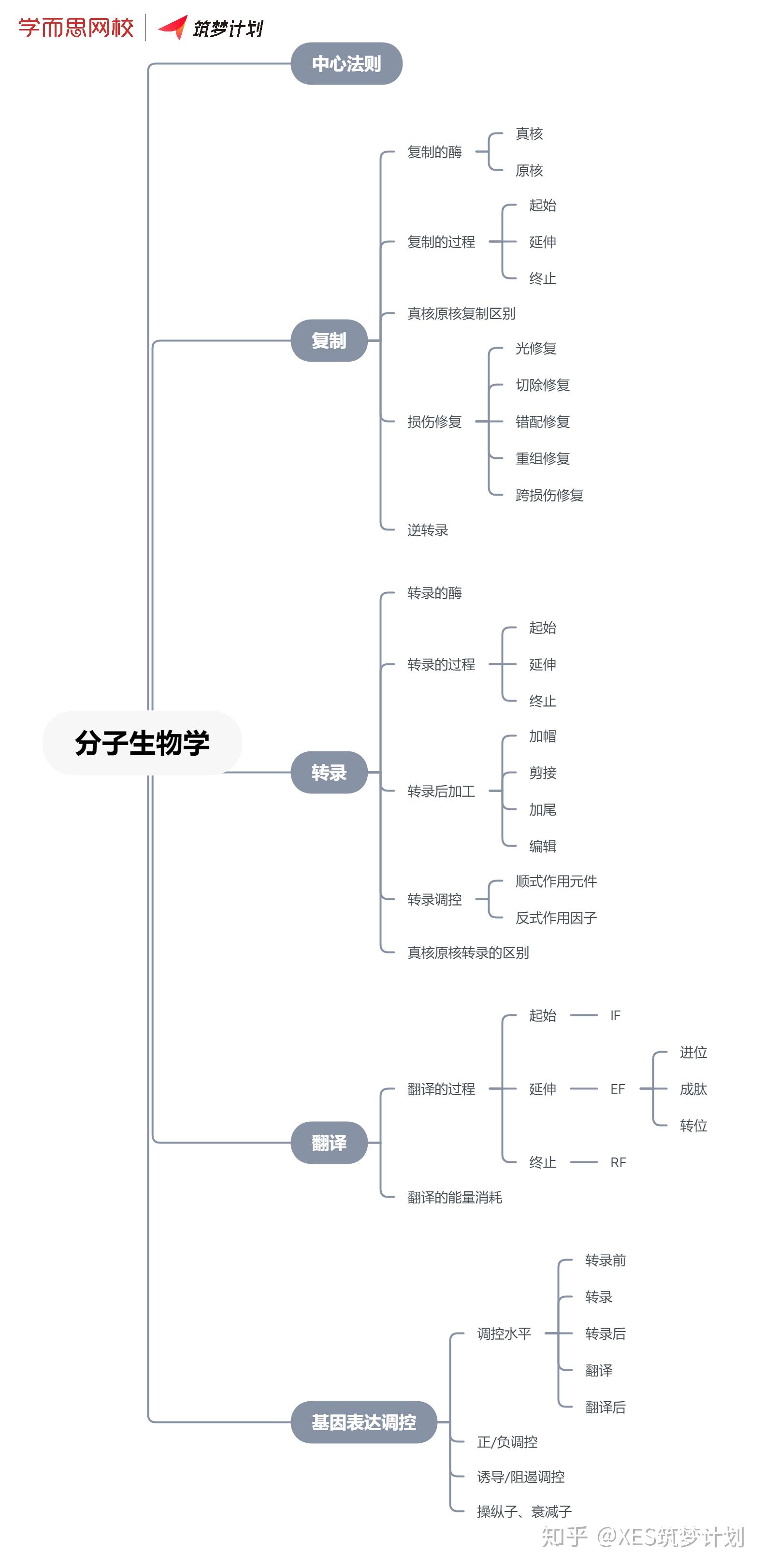 广明老师专栏七分子生物学框架图和复习建议