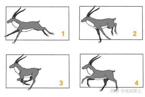 动景运动是指当两个刺激物(光点,直线,图片或画片)按一定的空间间隔和