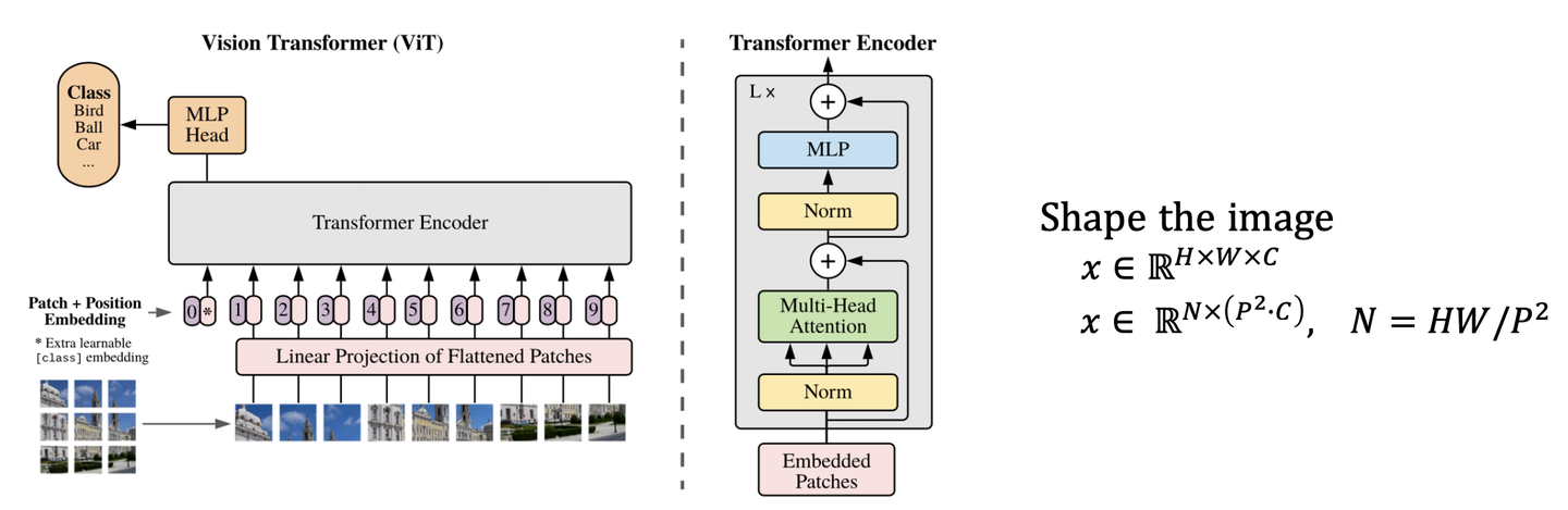 train vision transformer network for image... 【论文分享】Transformers for Image Recognition at Scale - 知乎
