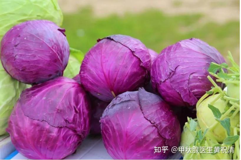 十字花科蔬菜分类