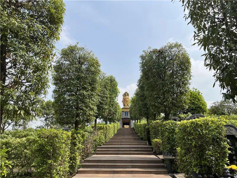 成都石岭公墓南园价格地址介绍! - 知乎