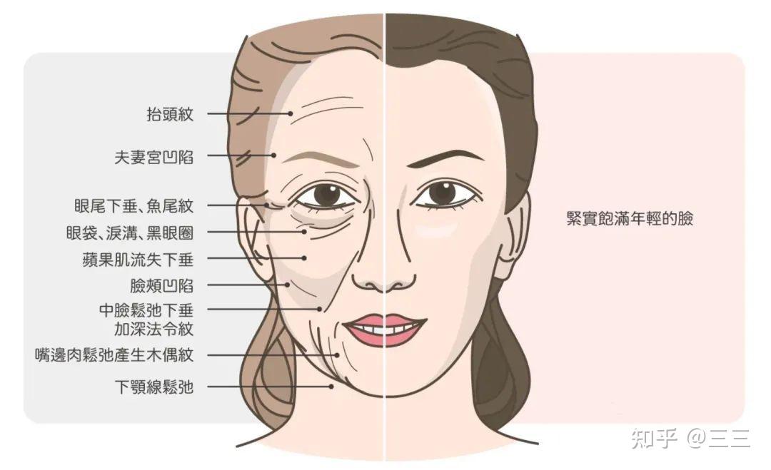 并且它还在不断加长,变深时,首先要明白你的皮肤已经开始"多层衰老"了