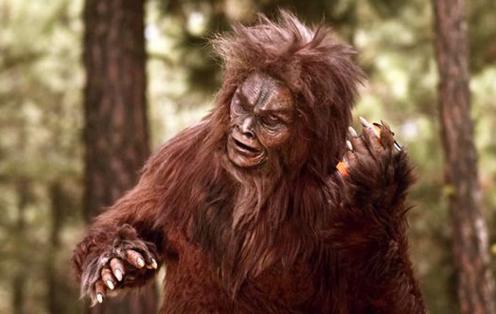 小女孩躺下的时候,蹭着野人老婆婆身上厚厚的毛.