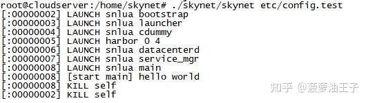 skynet实践三、config配置说明和基本API+例子 - 知乎