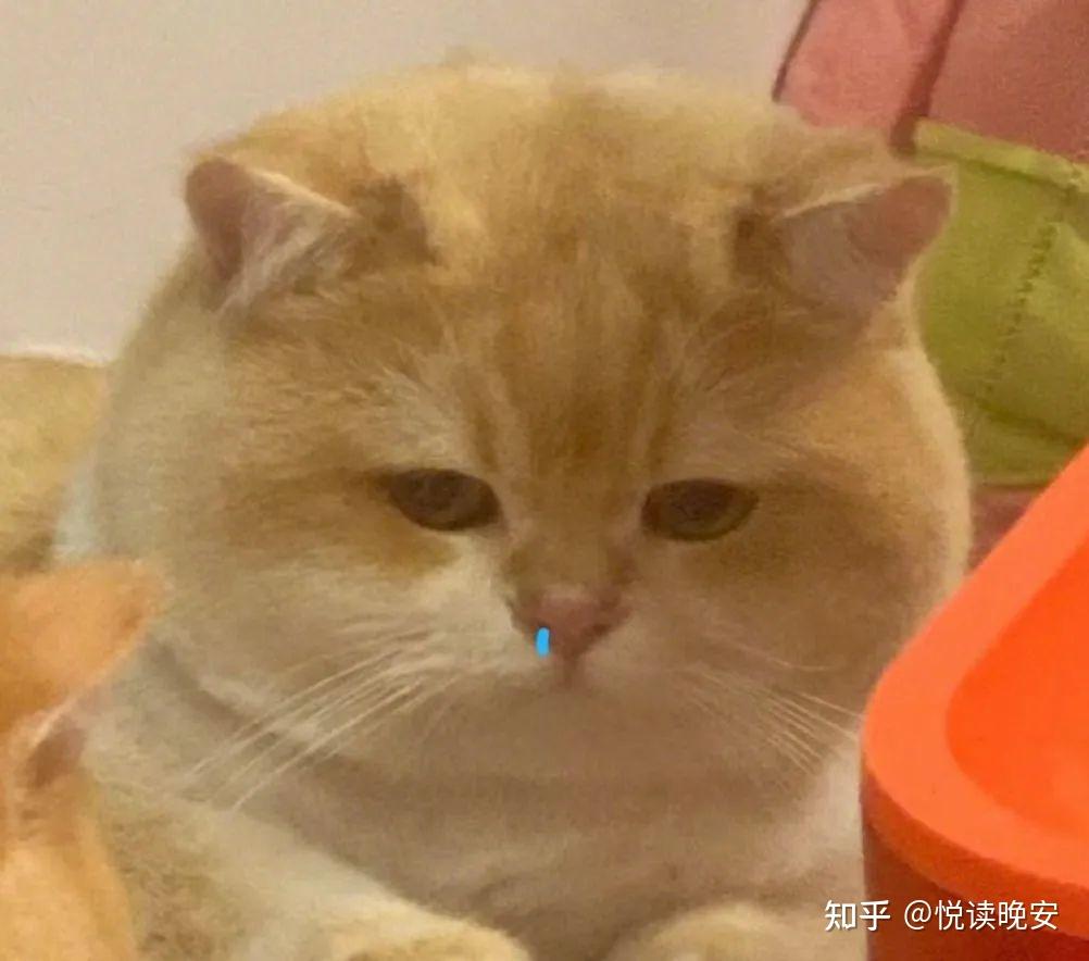 速速get 谁还没用这组表情包! - 知乎