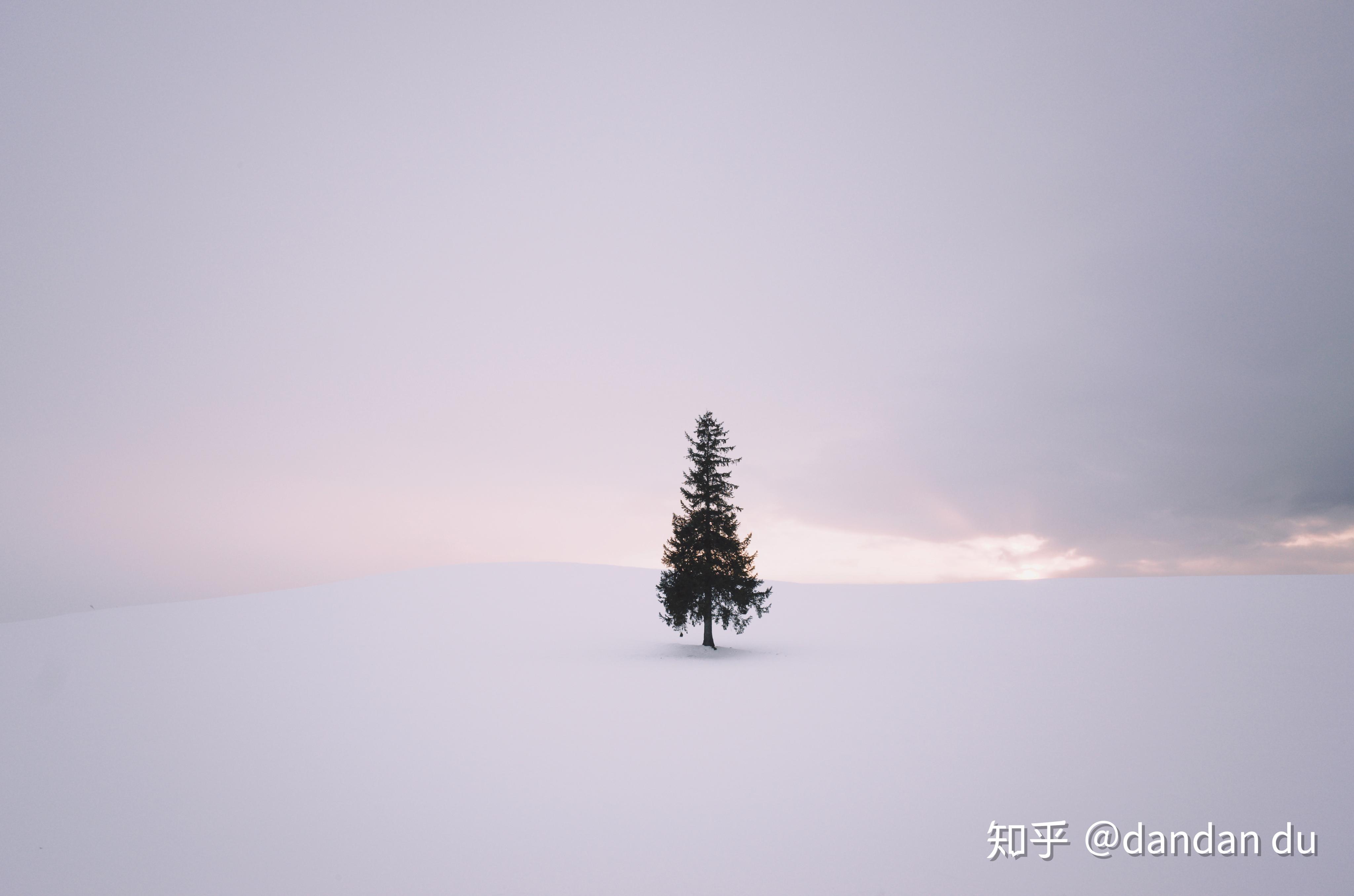 v2-1b8678c2c7a7996361aa850ac5577396_r.jpg