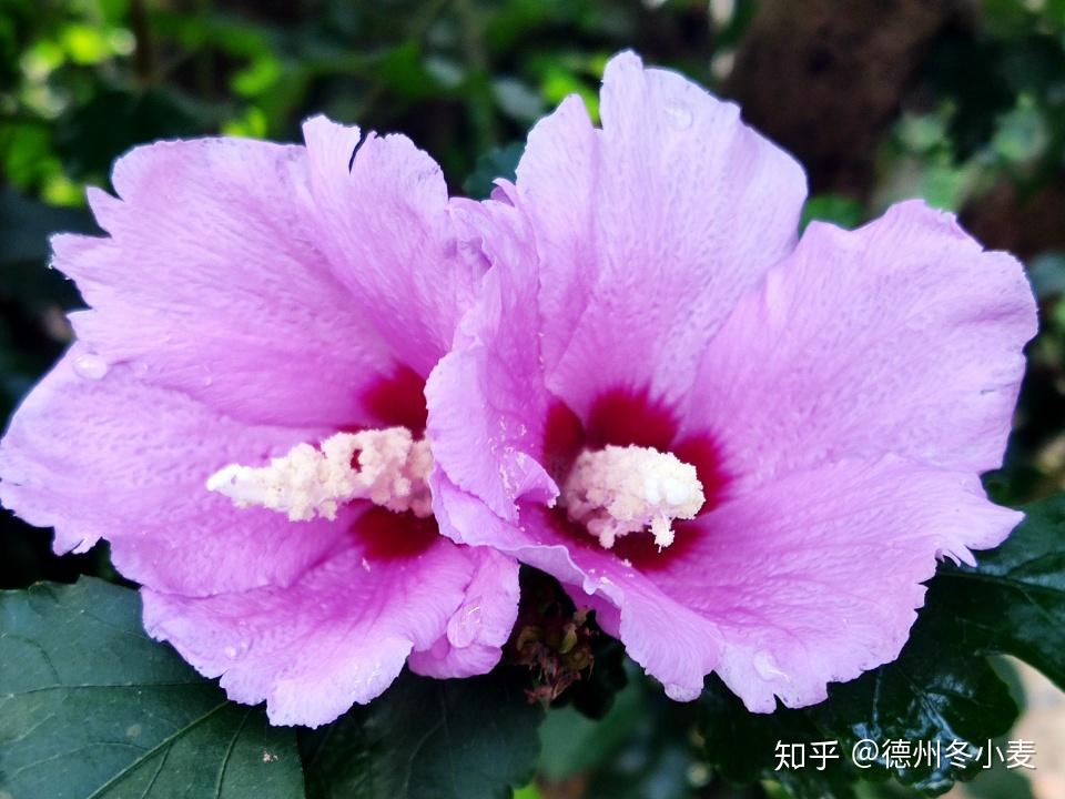 v2-1b879053c2634c1c6271e1a9832762fa_r.jpg
