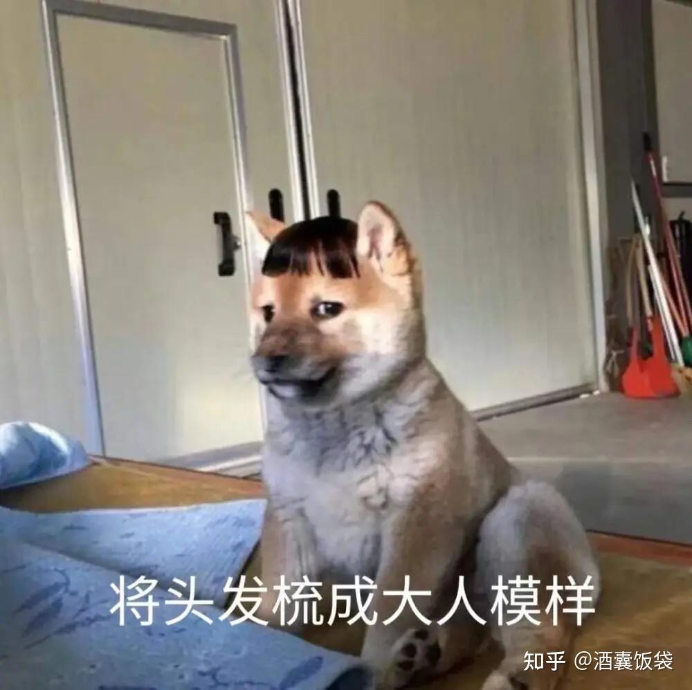 保姆级&必收藏大学生创新创业项目从申报到结题教程!!插图8 保姆级&必收藏大学生创新创业项目从申报到结题教程!!插图8