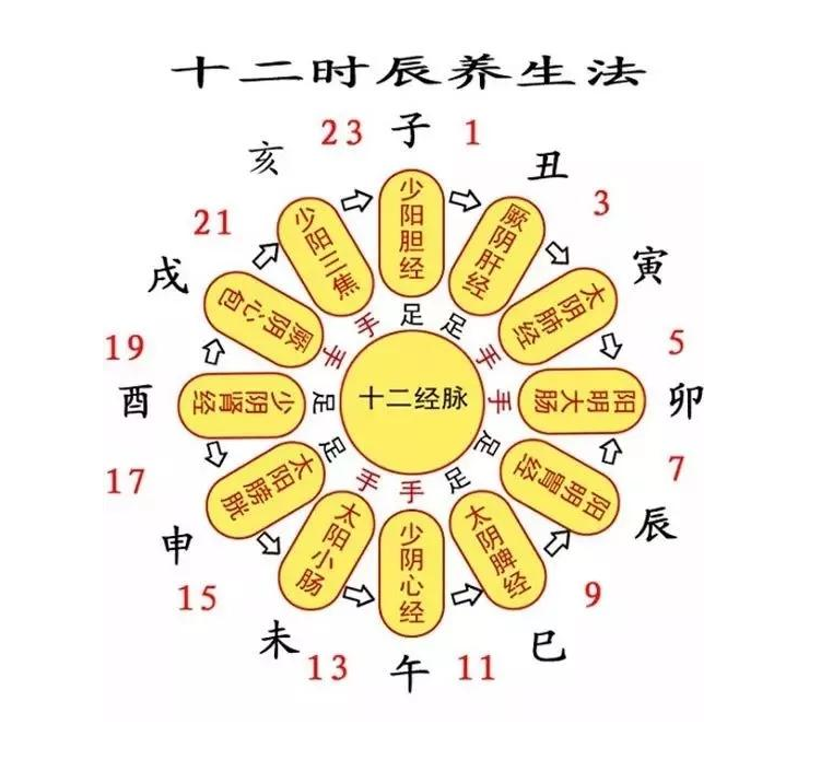 古人时间计量法:十二时辰 - 知乎