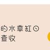 必备干货 入缸前水草消毒的注意事项 知乎 必备干货 入缸前水草消毒的注意事项 知乎