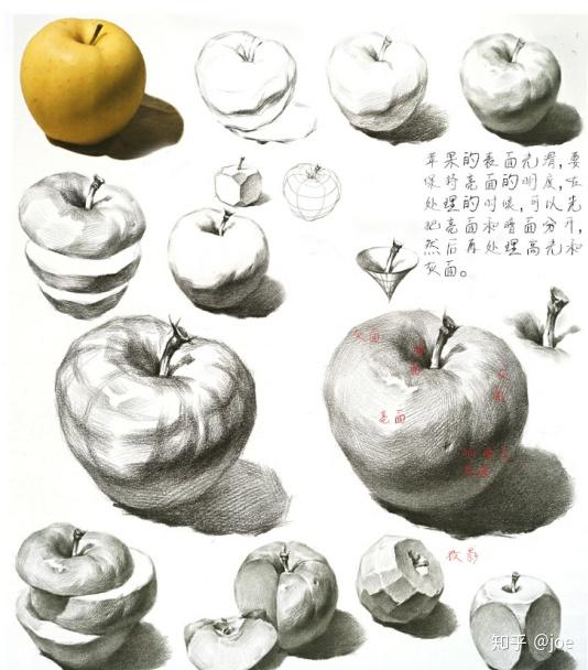 水果剖面素描图片