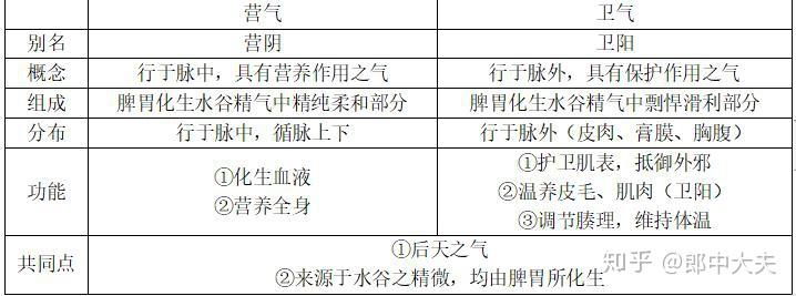 (温分肉,肥腠理,司开阖者也)分布:行于脉外运行全身,水谷之悍气,不受