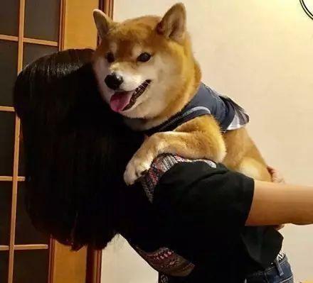 有没有女孩子抱着狗狗的头像越多越好