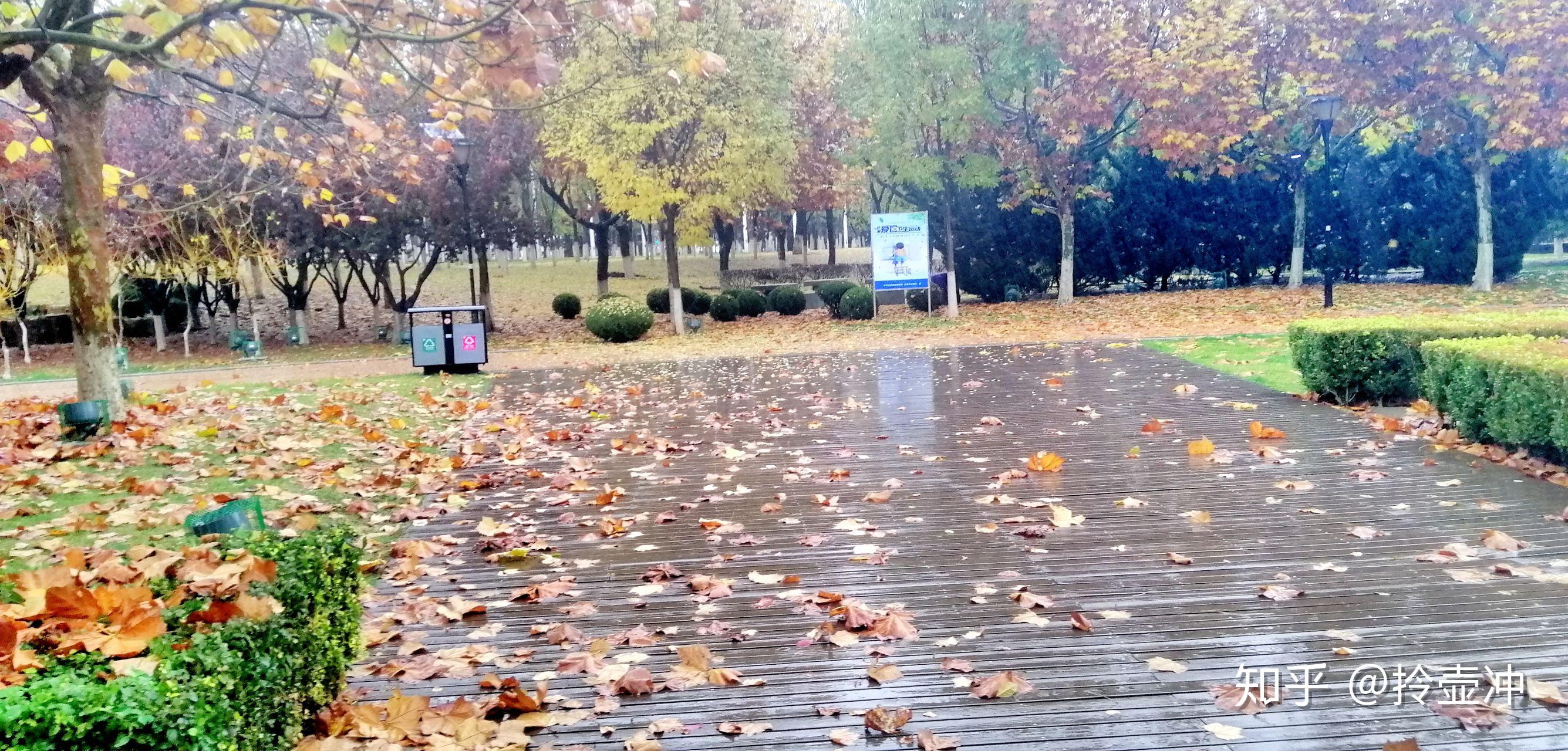 下雨天的驚豔圖片有嗎