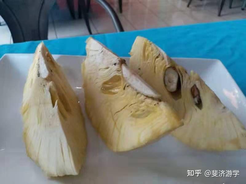 斐济特有主食之面包果