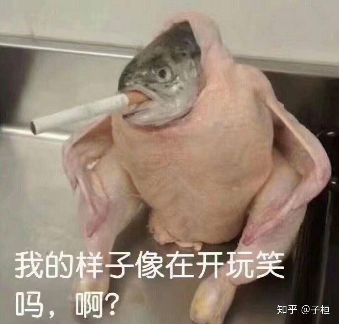你是因为什么进入腐圈?