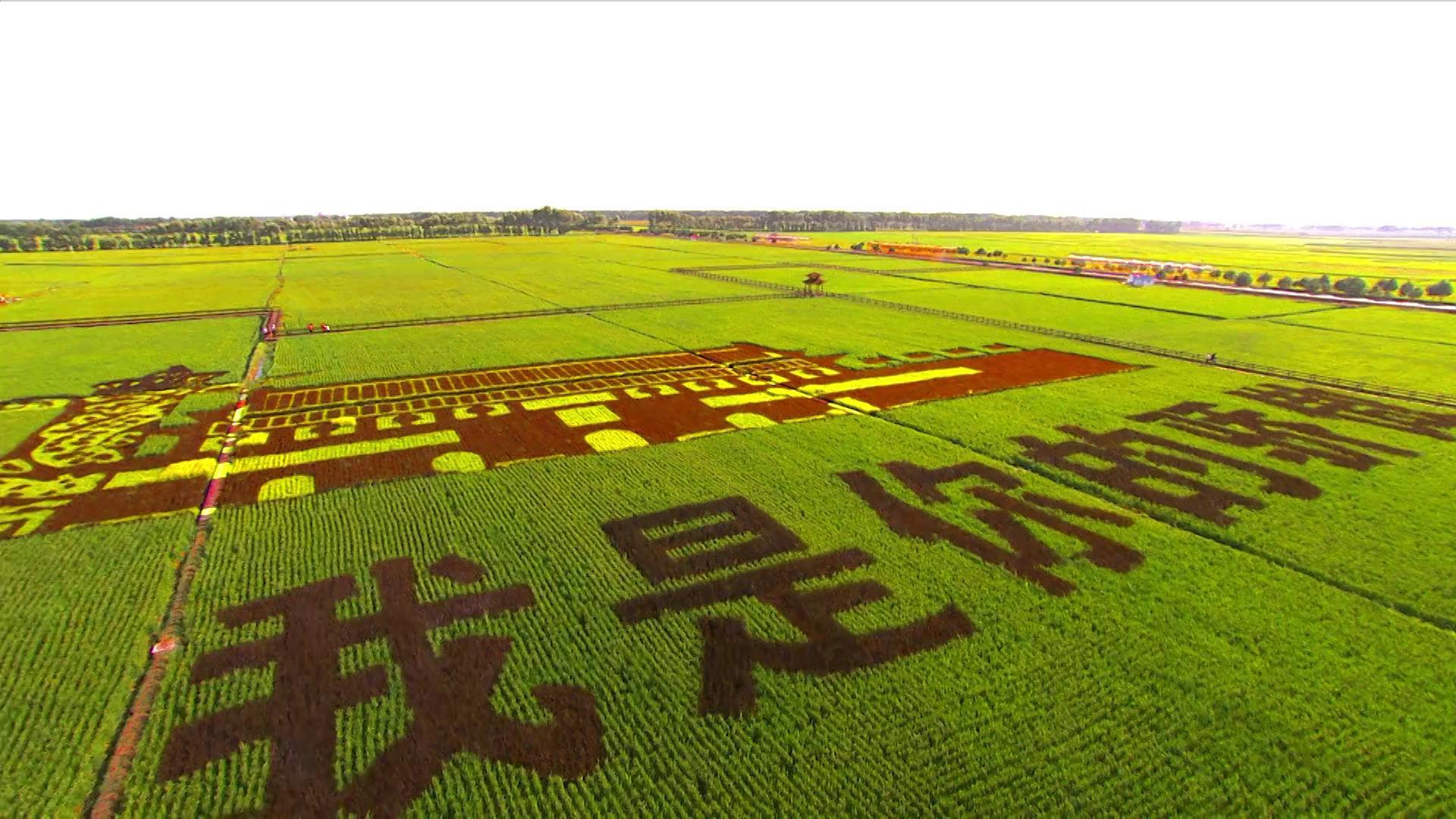 内蒙古扎赉特旗国家现代农业产业园生态妙笔绘就现代农业发展多彩画卷