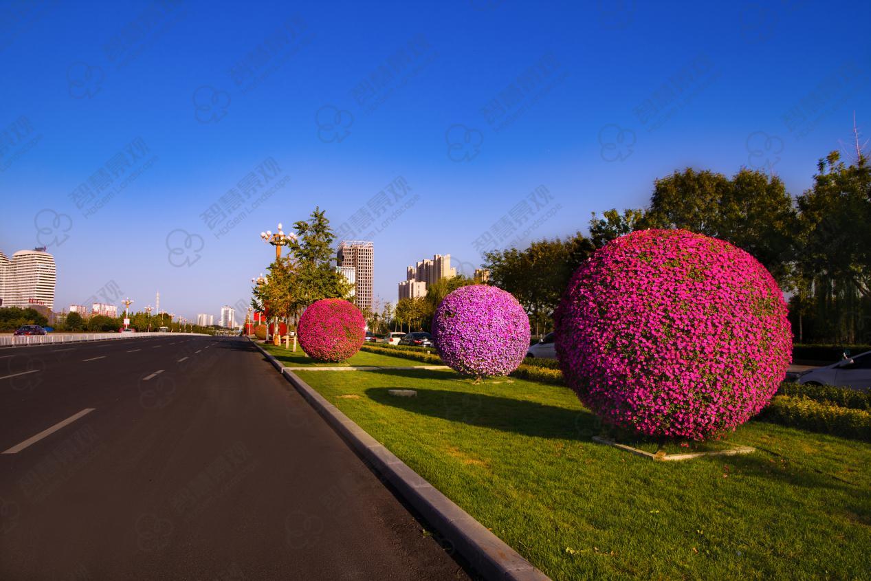 高颜值景观花球现身这些城市又是一道亮丽风景